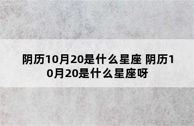 阴历10月20是什么星座 阴历10月20是什么星座呀